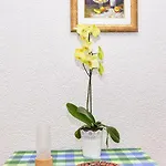 Διαμέρισμα Rote Rosen