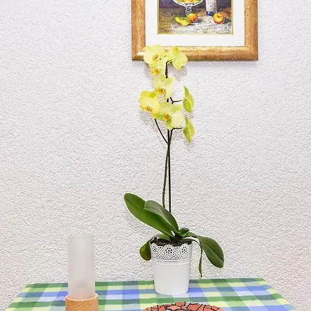 Apartamento Rote Rosen